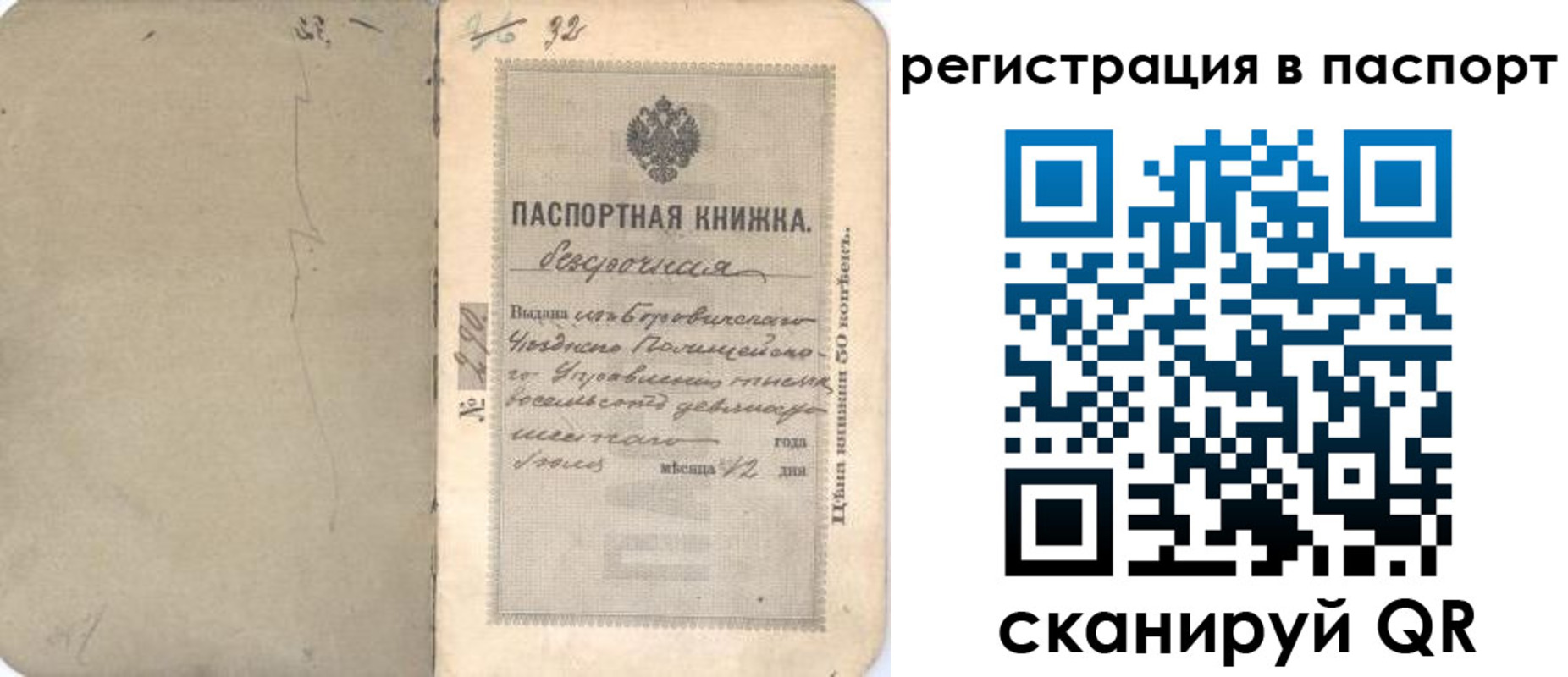 прописка гарантия в Нововоронеже